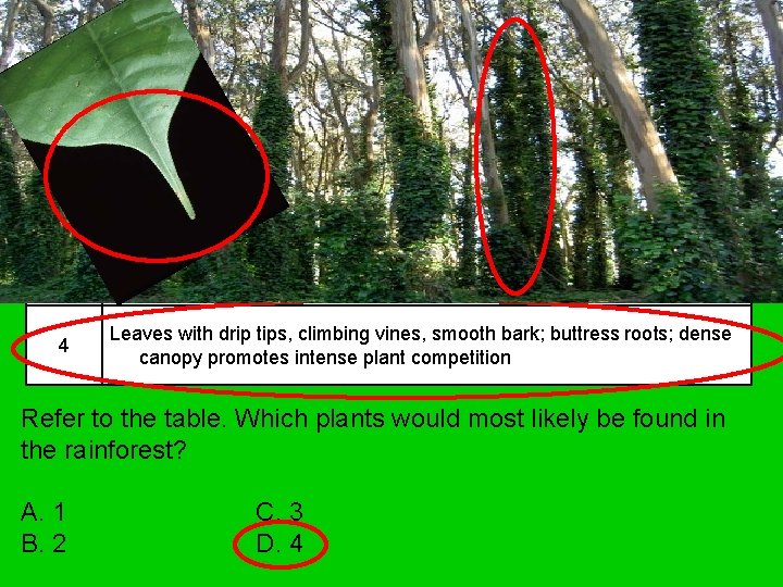 Biome Plant Description 1 Absence of trees; plants with thick leaves to withstand strong