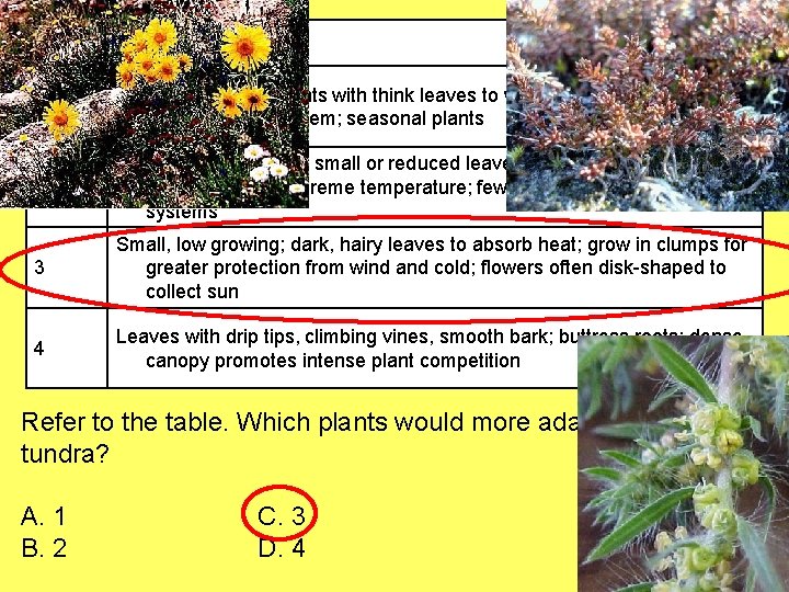 Biome Plant Description 1 Absence of trees; plants with think leaves to withstand strong
