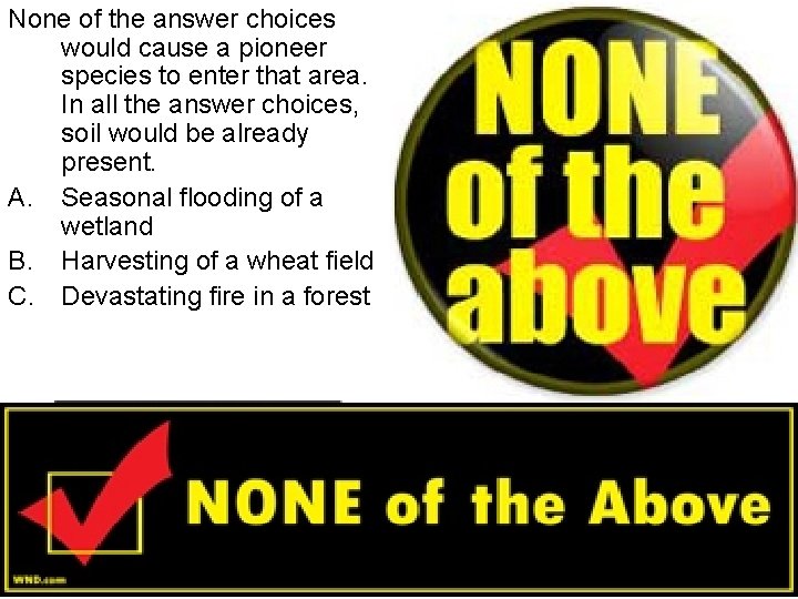 None of the answer choices would cause a pioneer species to enter that area.