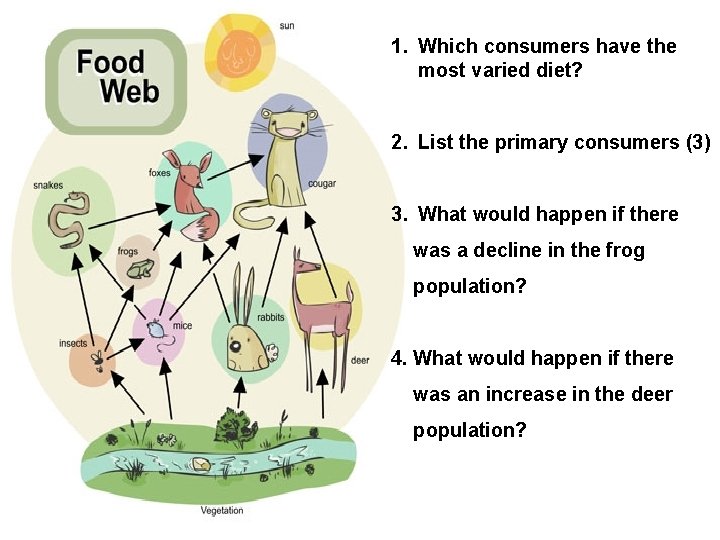 1. Which consumers have the most varied diet? 2. List the primary consumers (3)