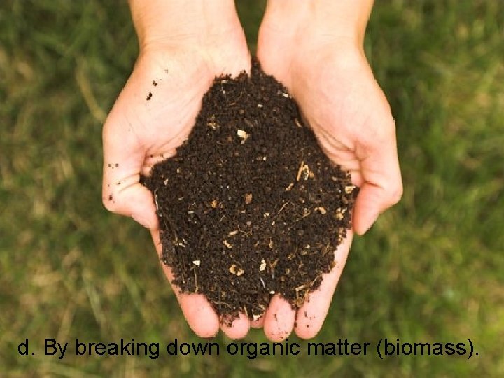 d. By breaking down organic matter (biomass). 