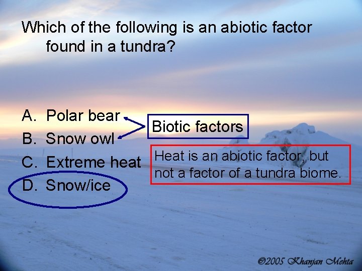 Which of the following is an abiotic factor found in a tundra? A. B.