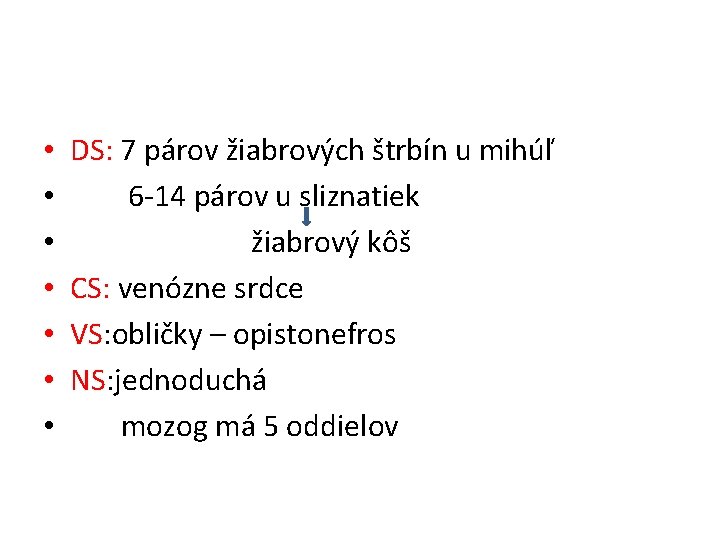  • • DS: 7 párov žiabrových štrbín u mihúľ 6 -14 párov u