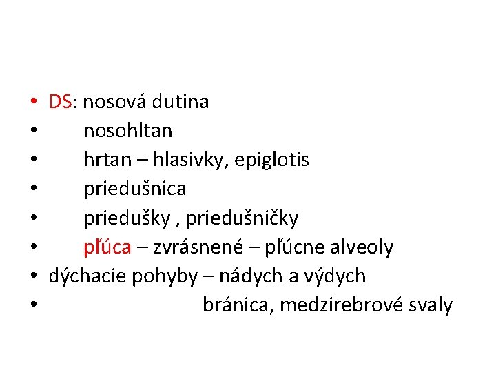  • DS: nosová dutina • nosohltan • hrtan – hlasivky, epiglotis • priedušnica