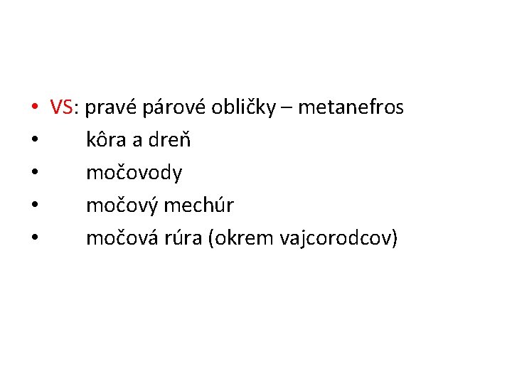  • VS: pravé párové obličky – metanefros • kôra a dreň • močovody