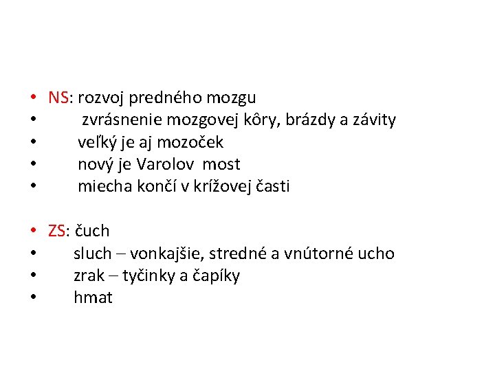  • NS: rozvoj predného mozgu • zvrásnenie mozgovej kôry, brázdy a závity •