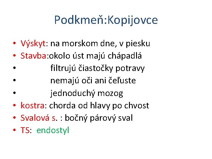 Podkmeň: Kopijovce • • Výskyt: na morskom dne, v piesku Stavba: okolo úst majú