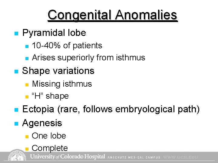 Congenital Anomalies n Pyramidal lobe n n n Shape variations n n 10 -40% Congenital Anomalies n Pyramidal lobe n n n Shape variations n n 10 -40%