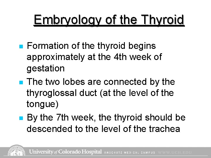 Embryology of the Thyroid n n n Formation of the thyroid begins approximately at Embryology of the Thyroid n n n Formation of the thyroid begins approximately at