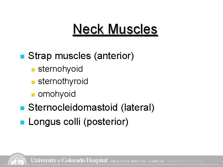 Neck Muscles n Strap muscles (anterior) n n n sternohyoid sternothyroid omohyoid Sternocleidomastoid (lateral) Neck Muscles n Strap muscles (anterior) n n n sternohyoid sternothyroid omohyoid Sternocleidomastoid (lateral)