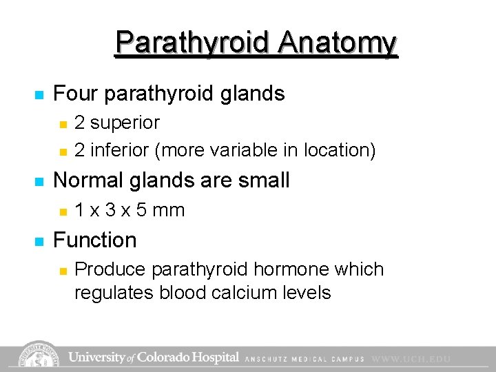 Parathyroid Anatomy n Four parathyroid glands n n n Normal glands are small n Parathyroid Anatomy n Four parathyroid glands n n n Normal glands are small n