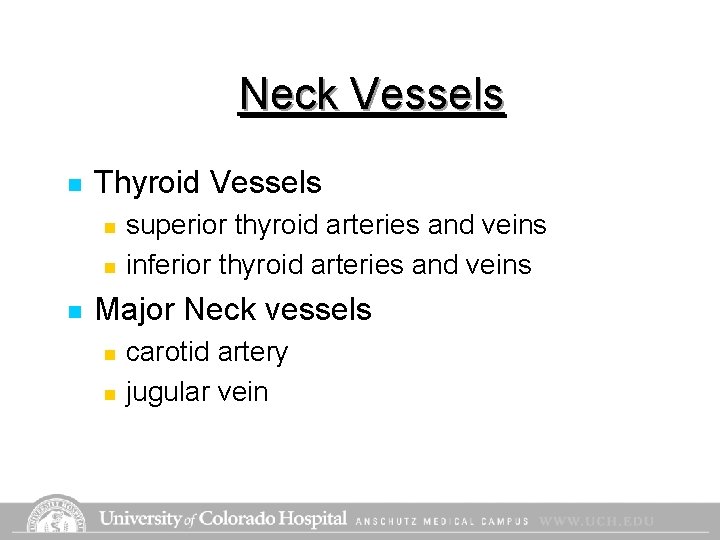 Neck Vessels n Thyroid Vessels n n n superior thyroid arteries and veins inferior Neck Vessels n Thyroid Vessels n n n superior thyroid arteries and veins inferior