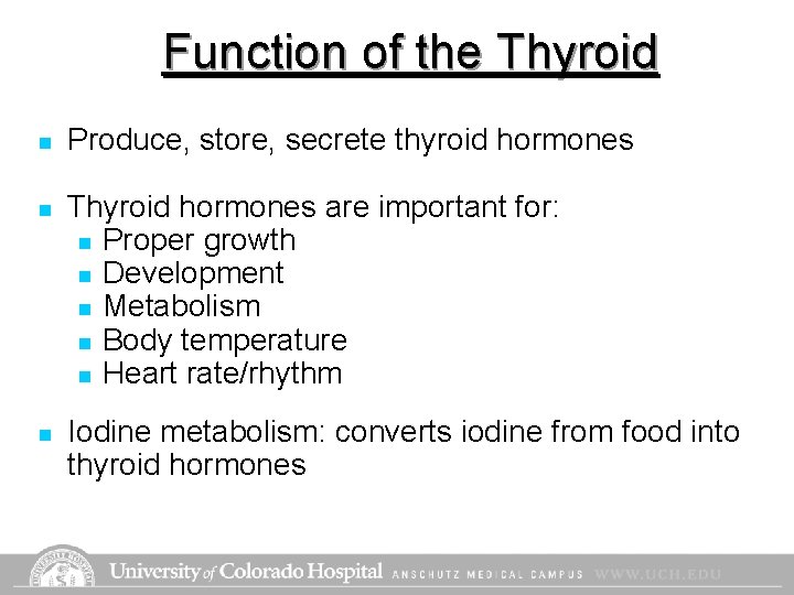 Function of the Thyroid n Produce, store, secrete thyroid hormones n Thyroid hormones are Function of the Thyroid n Produce, store, secrete thyroid hormones n Thyroid hormones are