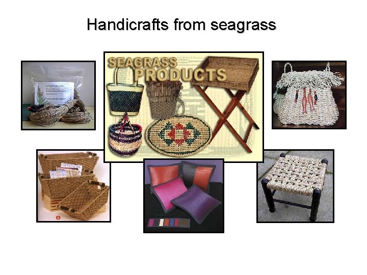 Handicrafts from seagrass 