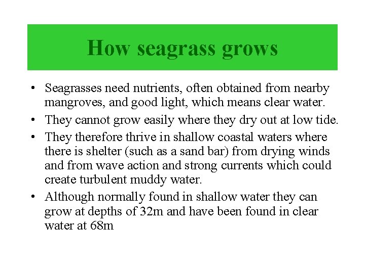BIOLOGY OF SEAGRASS Mujizat Kawaroe Marine Biology and