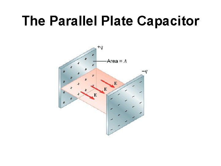 The Parallel Plate Capacitor 