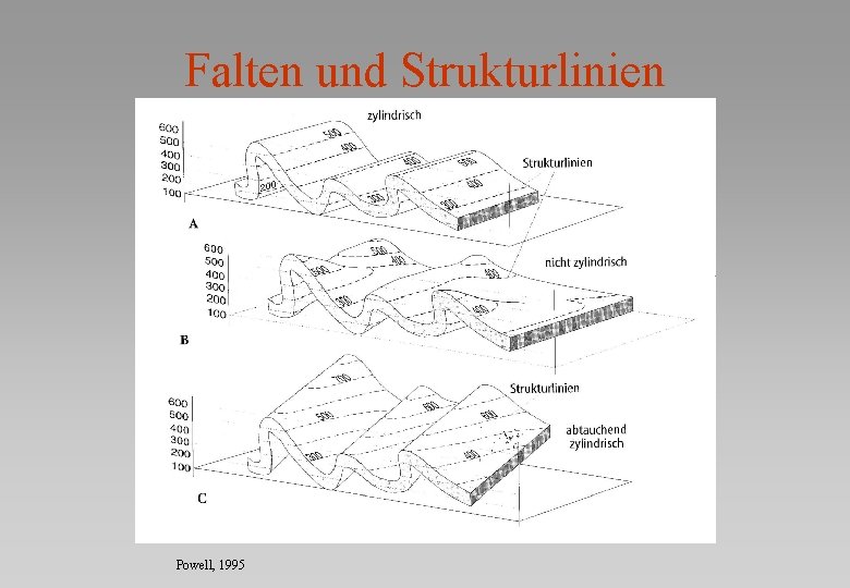 Falten und Strukturlinien Powell, 1995 