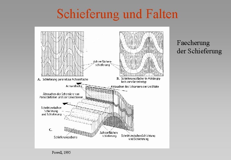 Schieferung und Falten Faecherung der Schieferung Powell, 1995 