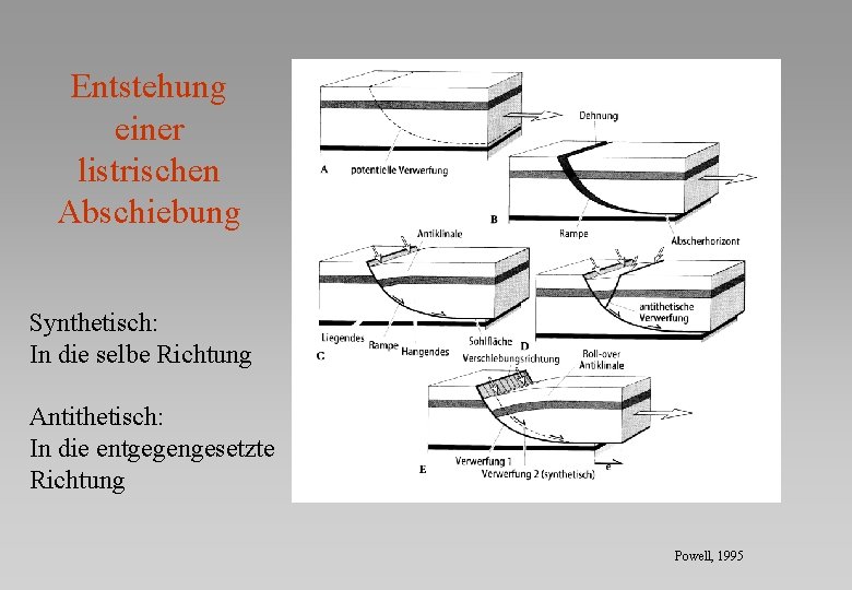 Entstehung einer listrischen Abschiebung Synthetisch: In die selbe Richtung Antithetisch: In die entgegengesetzte Richtung