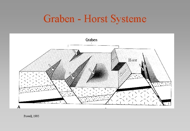 Graben - Horst Systeme Horst Powell, 1995 