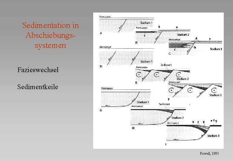 Sedimentation in Abschiebungssystemen Fazieswechsel Sedimentkeile Powell, 1995 