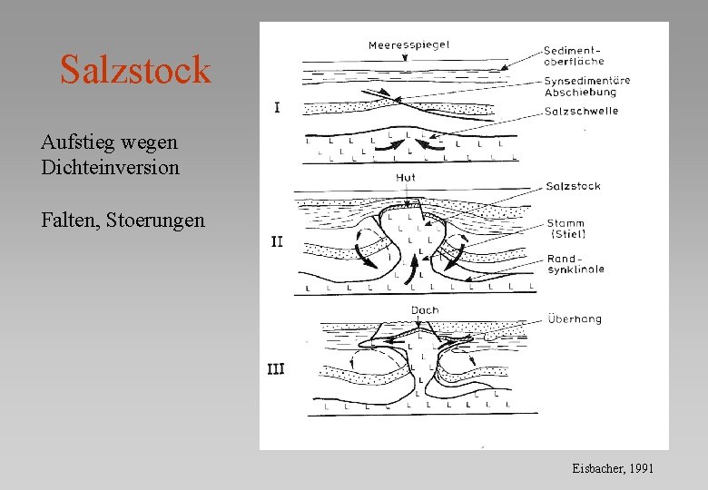 Salzstock Aufstieg wegen Dichteinversion Falten, Stoerungen Eisbacher, 1991 