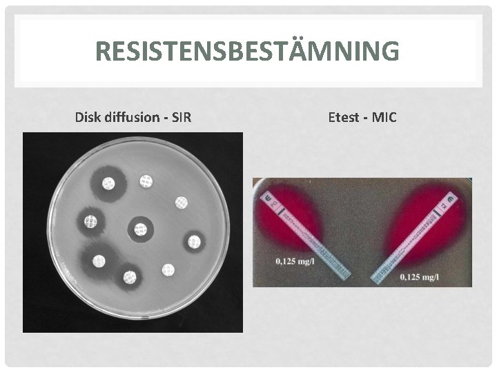RESISTENSBESTÄMNING Disk diffusion - SIR Etest - MIC 