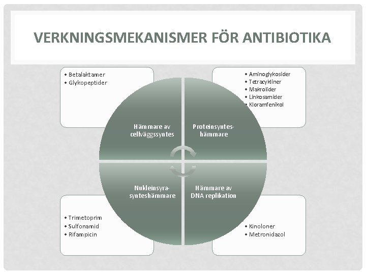 VERKNINGSMEKANISMER FÖR ANTIBIOTIKA • Betalaktamer • Glykopeptider • Trimetoprim • Sulfonamid • Rifampicin •