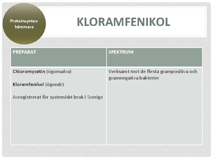 Proteinsynteshämmare KLORAMFENIKOL PREPARAT SPEKTRUM Chloromycetin (ögonsalva) Verksamt mot de flesta grampositiva och gramnegativa bakterier