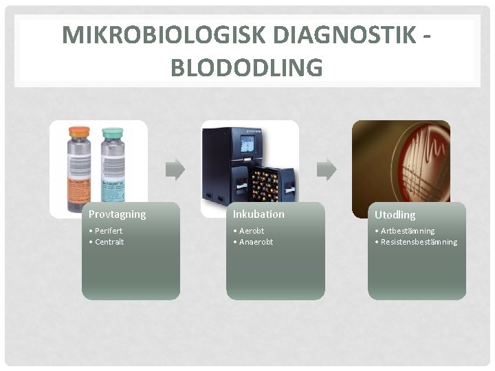 MIKROBIOLOGISK DIAGNOSTIK BLODODLING Provtagning Inkubation Utodling • Perifert • Centralt • Aerobt • Anaerobt