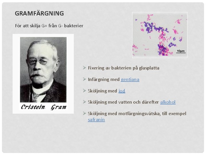 GRAMFÄRGNING För att skilja G+ från G- bakterier Ø Fixering av bakterien på glasplatta
