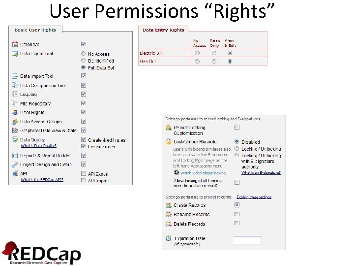 User Permissions “Rights” 