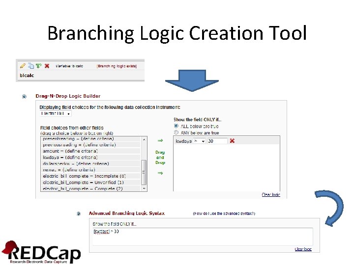 Branching Logic Creation Tool 