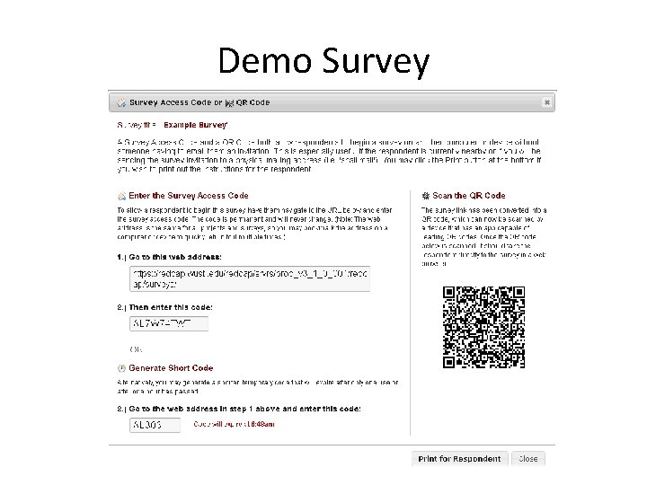 Demo Survey 