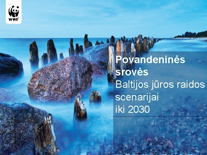 © Cat Holloway / WWF-Canon Povandeninės srovės Baltijos jūros raidos scenarijai iki 2030 