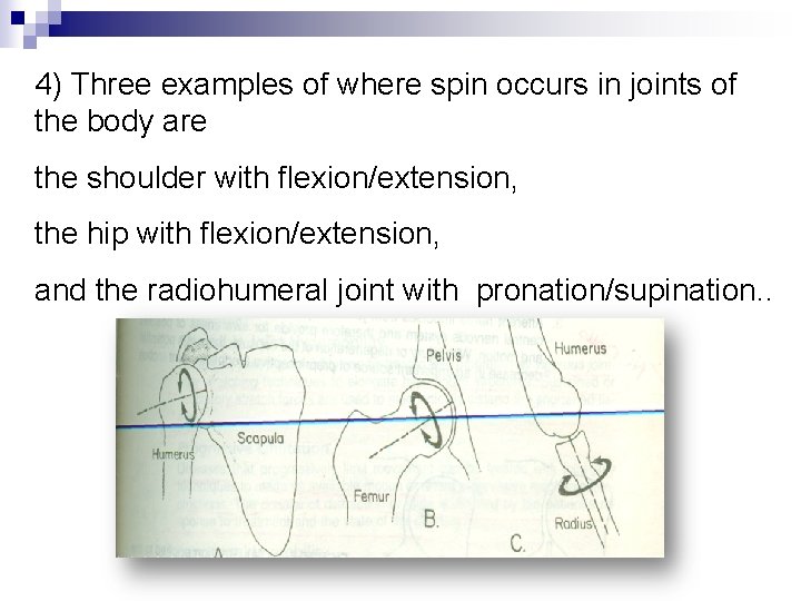 4) Three examples of where spin occurs in joints of the body are the