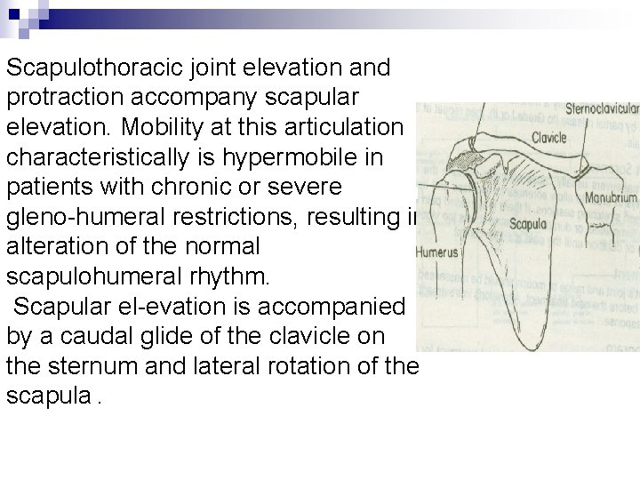 Scapulothoracic joint elevation and protraction accompany scapular elevation. Mobility at this articulation characteristically is