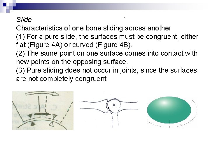 Slide ' Characteristics of one bone sliding across another (1) For a pure slide,