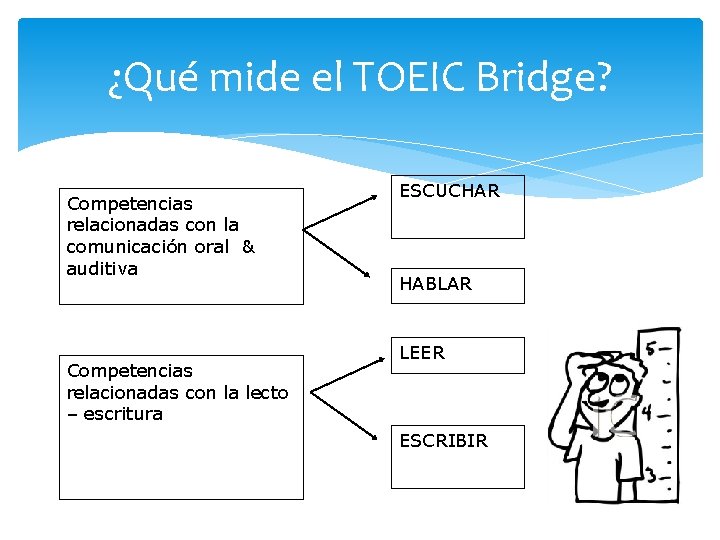 ¿Qué mide el TOEIC Bridge? Competencias relacionadas con la comunicación oral & auditiva Competencias