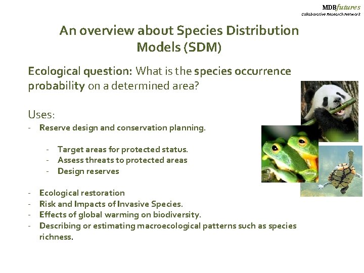 MDBfutures Collaborative Research Network An overview about Species Distribution Models (SDM) Ecological question: What