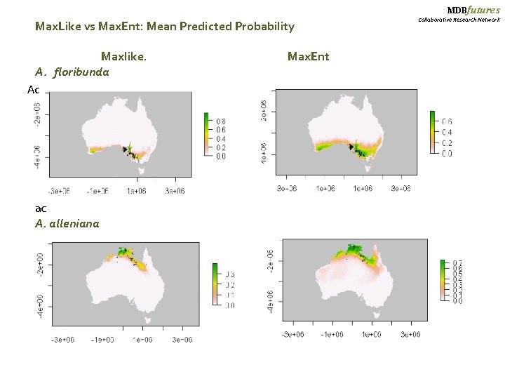 MDBfutures Max. Like vs Max. Ent: Mean Predicted Probability Maxlike. Max. Ent A. floribunda