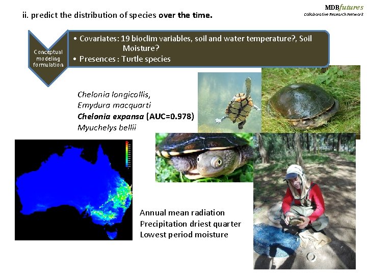 ii. predict the distribution of species over the time. Conceptual modeling formulation MDBfutures Collaborative