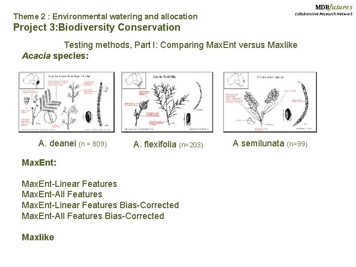 MDBfutures Theme 2 : Environmental watering and allocation Collaborative Research Network Project 3: Biodiversity