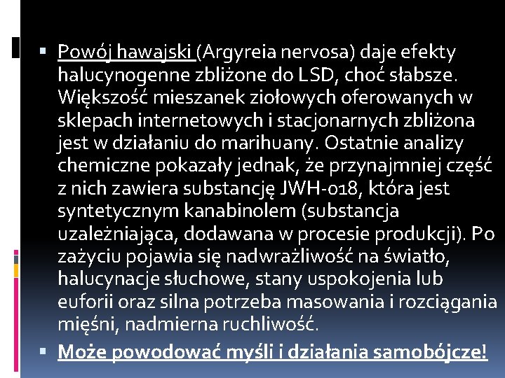  Powój hawajski (Argyreia nervosa) daje efekty halucynogenne zbliżone do LSD, choć słabsze. Większość
