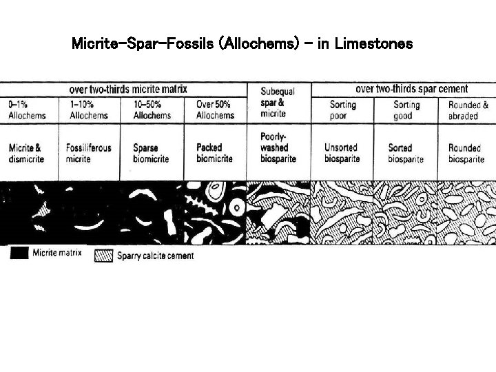 Micrite-Spar-Fossils (Allochems) - in Limestones Micrite-Spar-Fossils (Allochems) - in Limestones