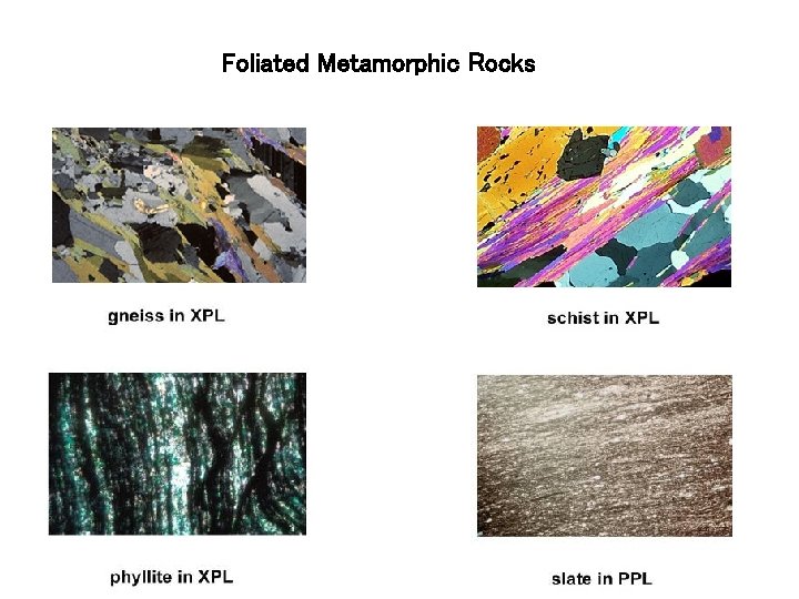 Foliated Metamorphic Rocks Foliated Metamorphic Rocks