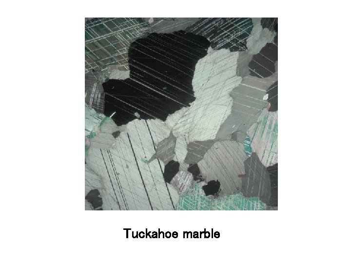 Tuckahoe marble 
