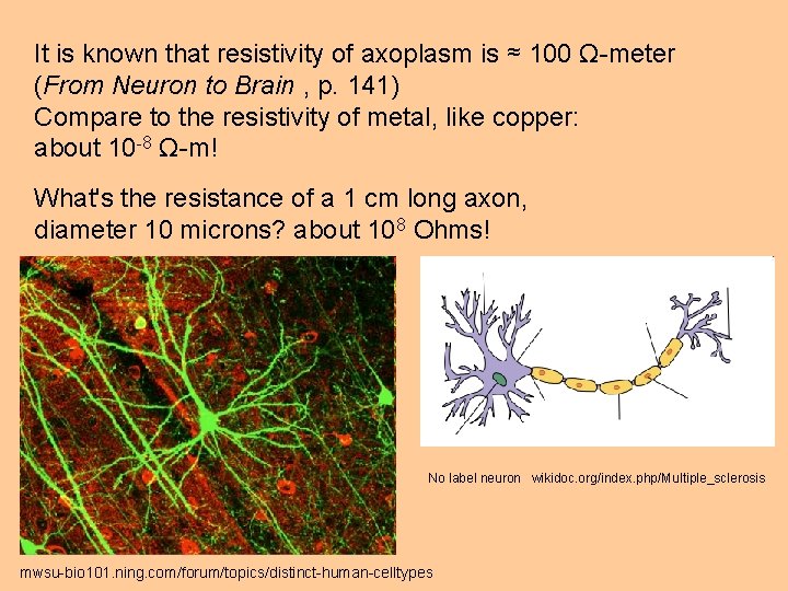 It is known that resistivity of axoplasm is ≈ 100 Ω-meter (From Neuron to