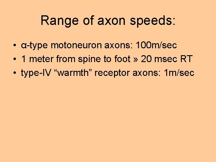 Range of axon speeds: • α-type motoneuron axons: 100 m/sec • 1 meter from