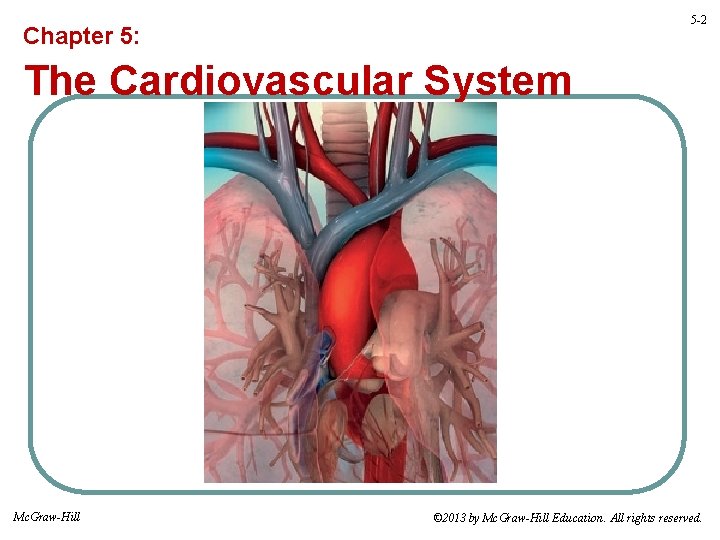 5 -2 Chapter 5: The Cardiovascular System Mc. Graw-Hill © 2013 by Mc. Graw-Hill